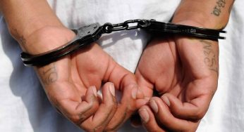 3 Disney World Employees And A Registered Nurse Among 17 Arrested In Child Sex Sting