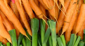 Six-Year-Old Georgia Girl Becomes Youngest Certified Farmer In The State