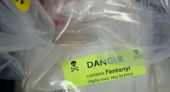 100,000 Americans Reportedly Died Due To Drug Overdose In 12-Month Period—Which Is More Than Gun Violence And Car Crashes Combined, As Fentanyl Use Skyrockets