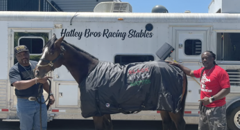 (Exclusive) Black Family Suing White Veterinarian For The Death Of Their Prized Race Horse Named “Black Lives Matter,” Claiming Racially-Motivated Negligence