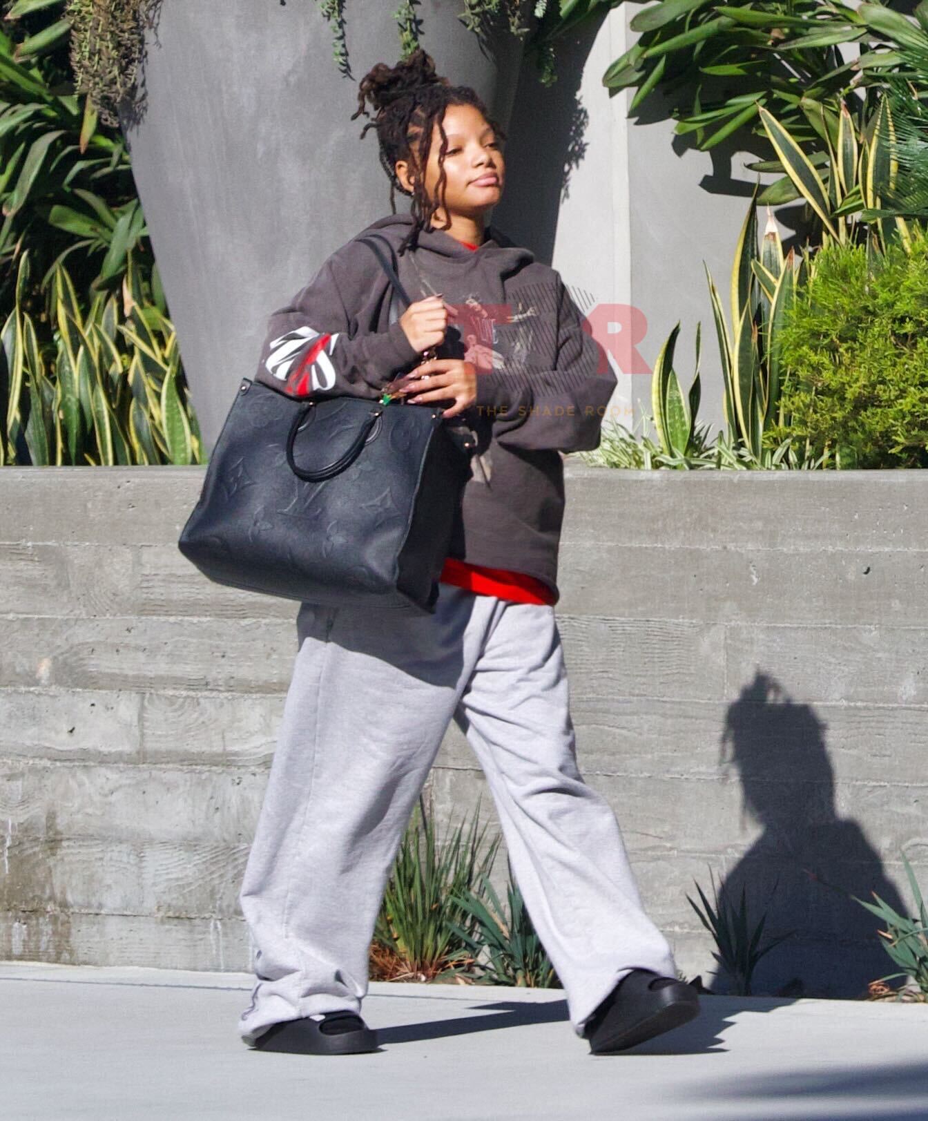Halle Bailey Baby Bump Pregnant Outing Boyfriend DDG