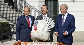 President Biden Pardons National Thanksgiving Turkeys On His 81st Birthday